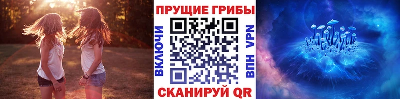 продажа наркотиков  Кизилюрт  Галлюциногенные грибы ЛСД 