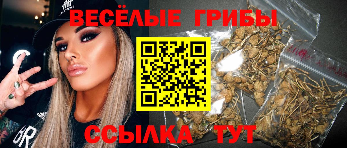 Каннабис Кизилюрт