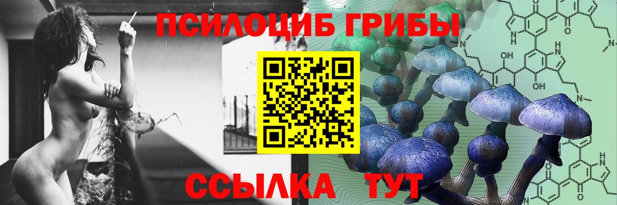 Кизилюрт  Псилоцибиновые грибы мухоморы  Вход с VPN 